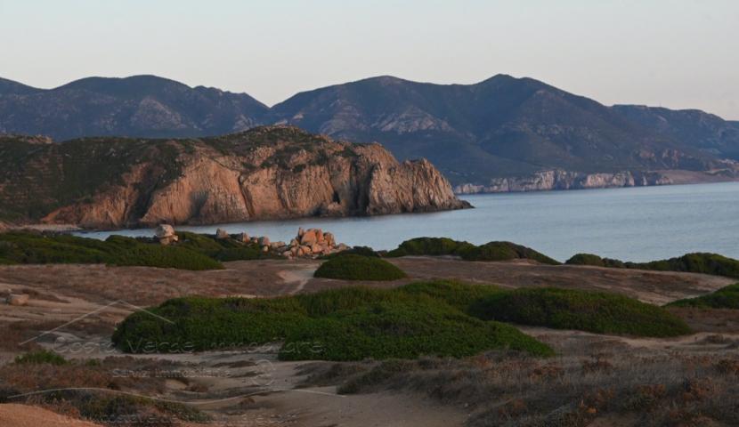 Capo Pecora